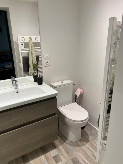 Villa Loft Relais Coeur De France Vierzon Esterno foto